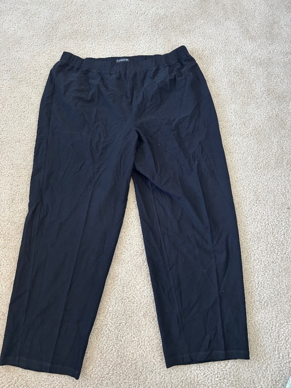Washable Stretch Crepe Ankle Black Pants Sz 2X by Eileen Fisher